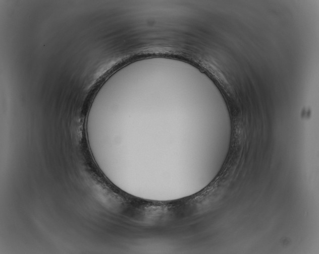 X0000090410160200708031050