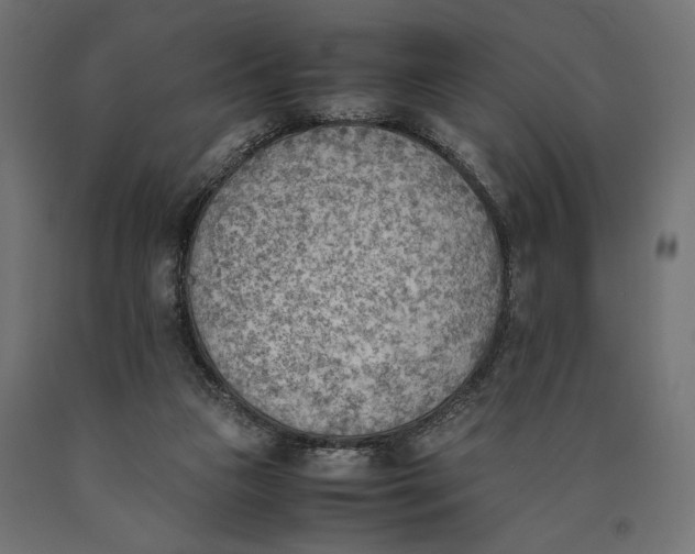 X0000090410161200708031050