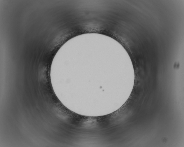 X0000090410162200708031050