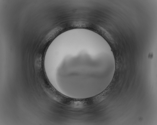 X0000090410163200708031050