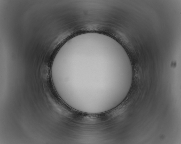 X0000090410164200708031050