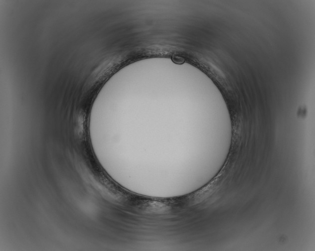 X0000090410166200708031050