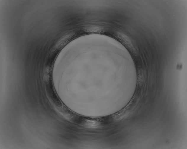X0000090410167200708031050