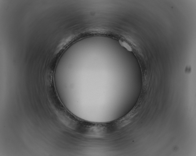 X0000090410168200708031050