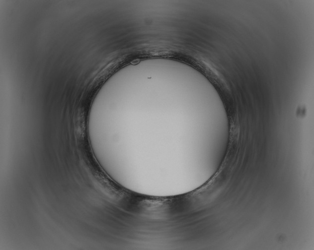 X0000090410170200708031050