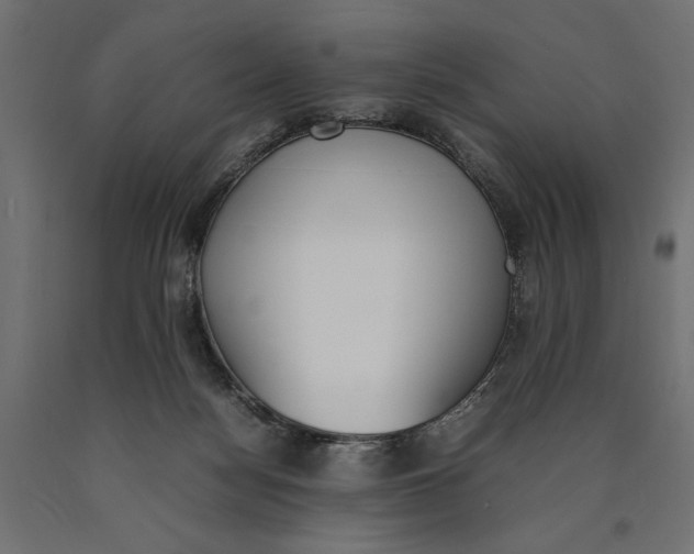 X0000090410172200708031050