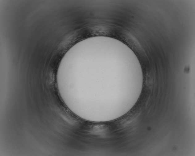 X0000090410173200708031051