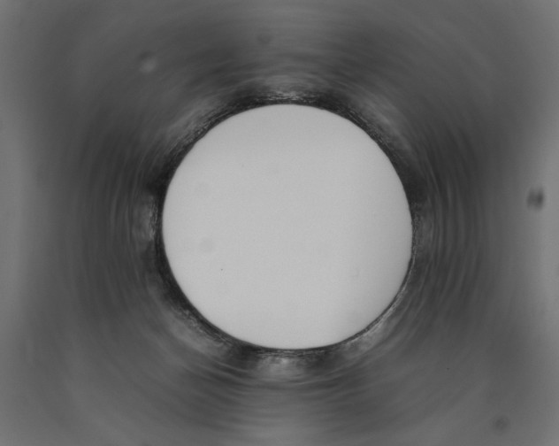 X0000090410174200708031051