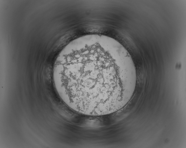 X0000090410175200708031051