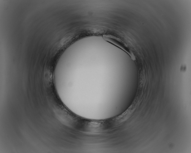X0000090410176200708031051
