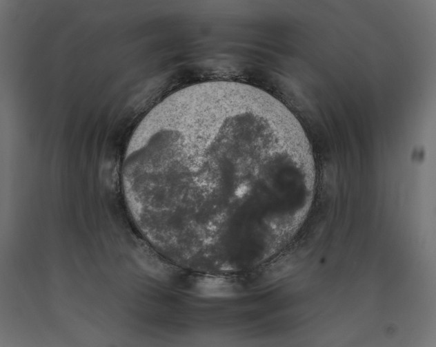 X0000090410177200708031051
