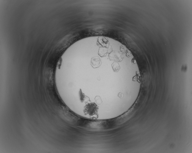 X0000090410178200708031051