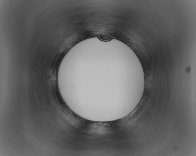 X0000090410179200708031051