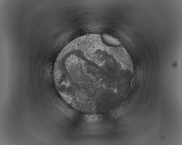 X0000090410181200708031051