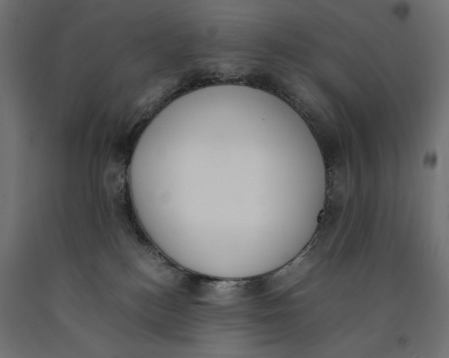 X0000090410184200708031051