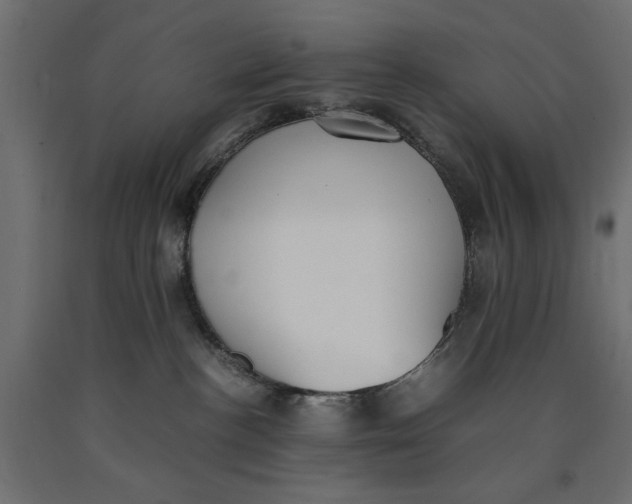 X0000090410188200708031051
