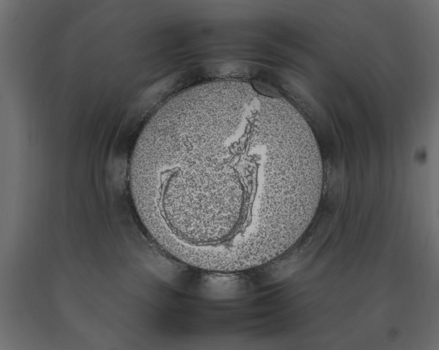 X0000090410189200708031051