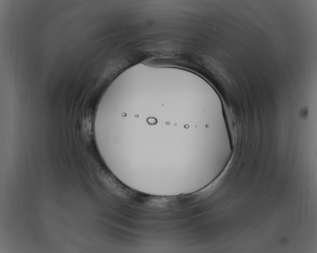 X0000090410190200708031051