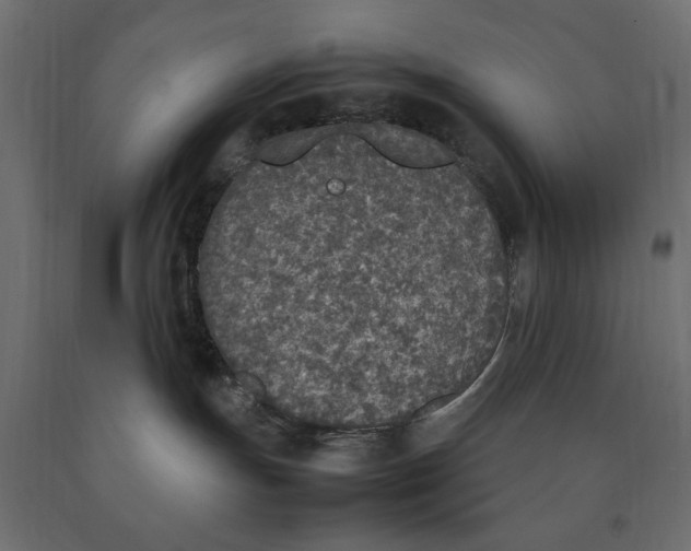 X0000090410191200708031051