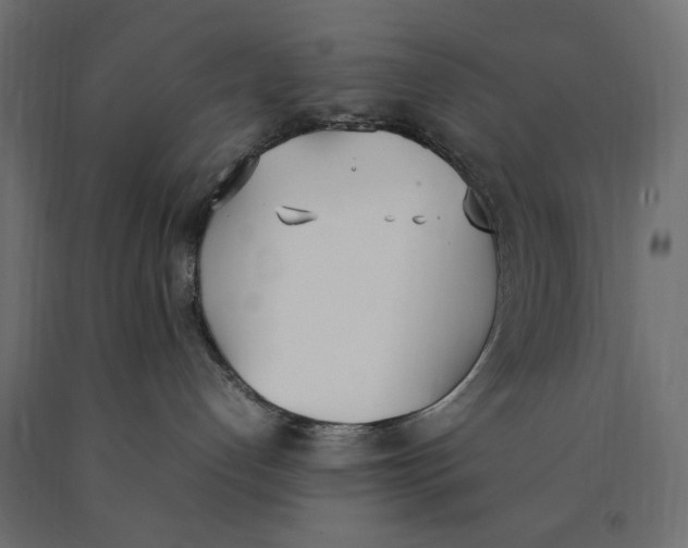 X0000090410192200708031051