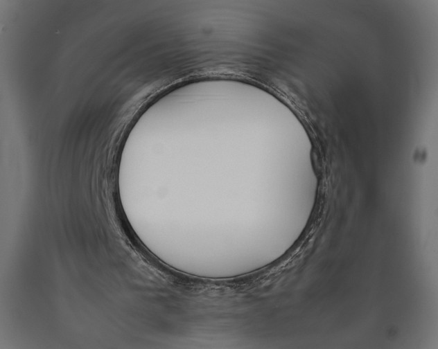 X0000090410193200708031050