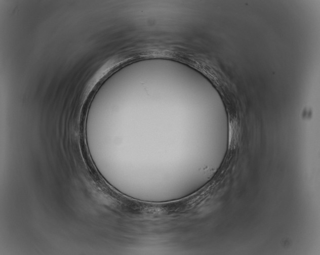 X0000090410195200708031050