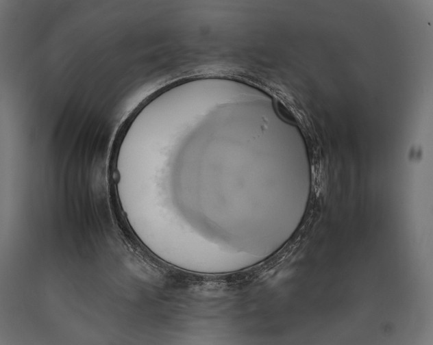 X0000090410196200708031050