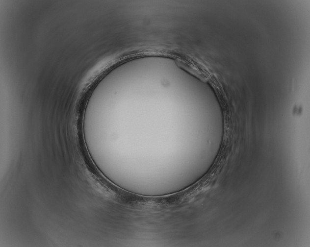 X0000090410197200708031050