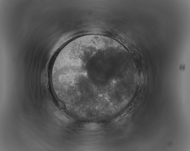 X0000090410198200708031050