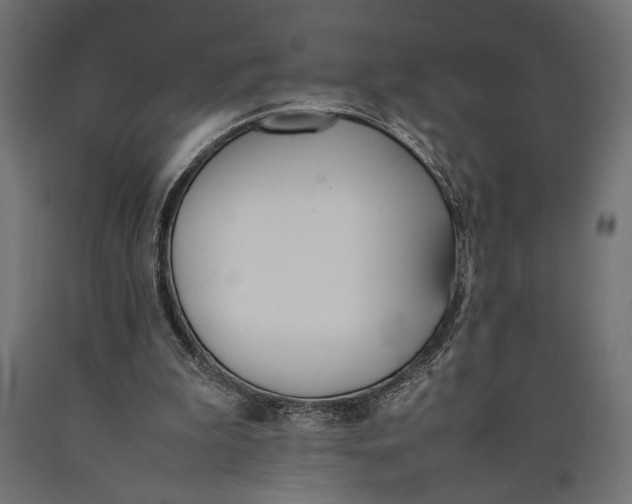 X0000090410199200708031050