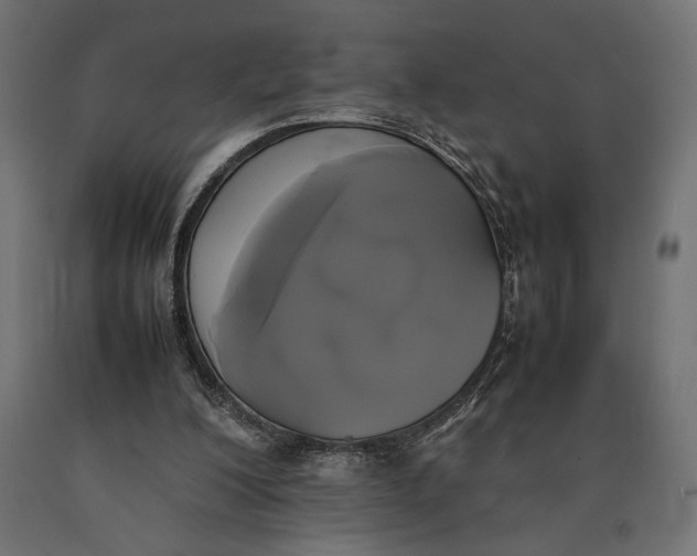 X0000090410200200708031050