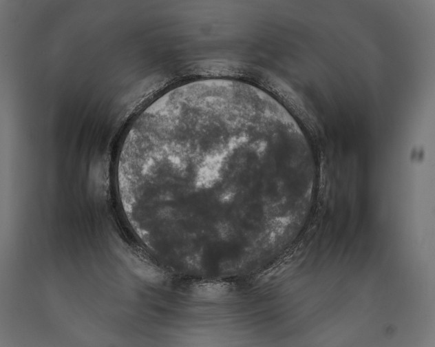 X0000090410202200708031050