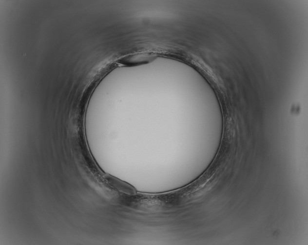 X0000090410203200708031050