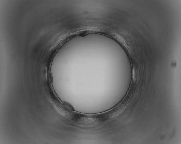 X0000090410205200708031050