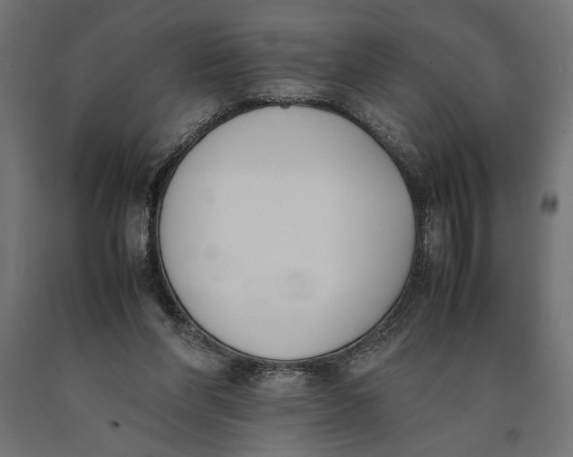X0000090410206200708031050