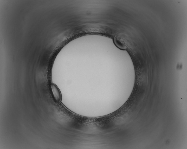X0000090410207200708031050