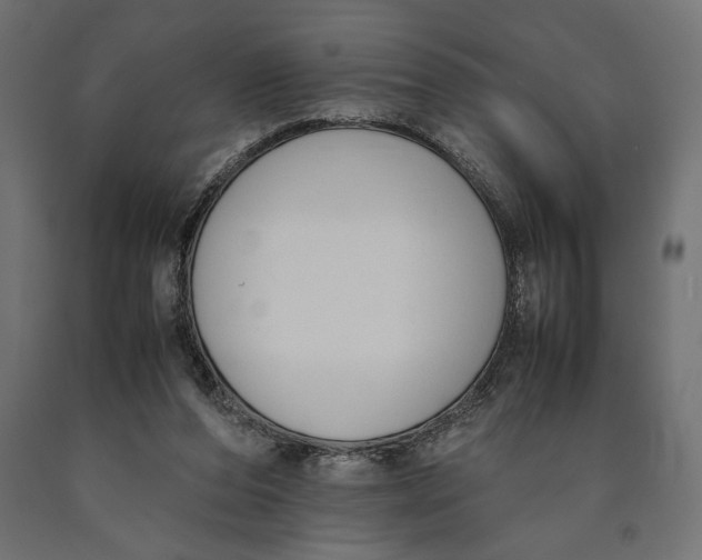 X0000090410208200708031050