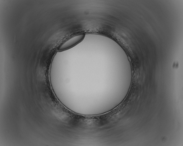 X0000090410209200708031050