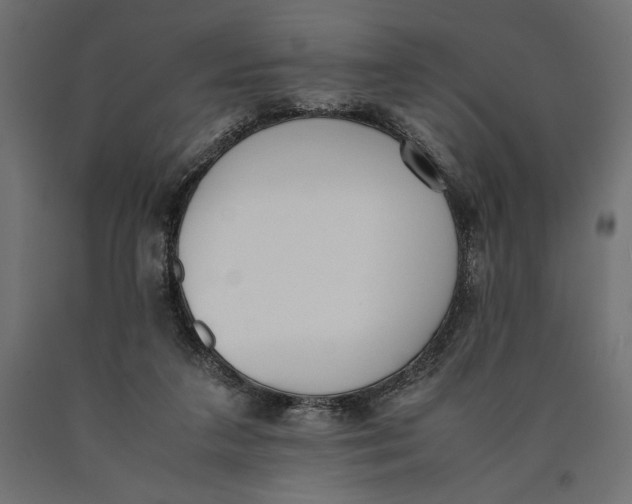 X0000090410211200708031050
