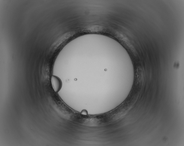 X0000090410212200708031050