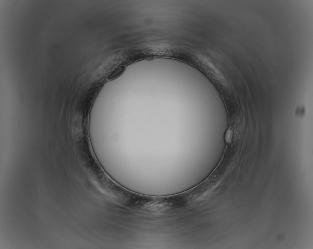 X0000090410213200708031050