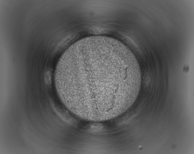 X0000090410214200708031050