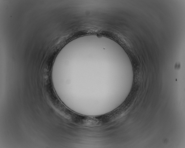 X0000090410215200708031050