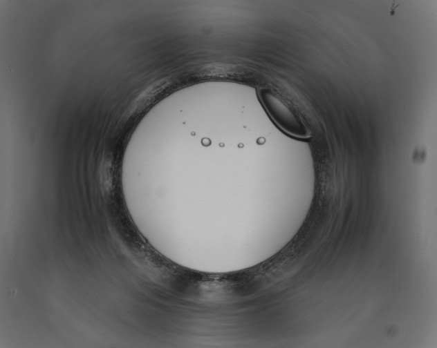 X0000090410216200708031050