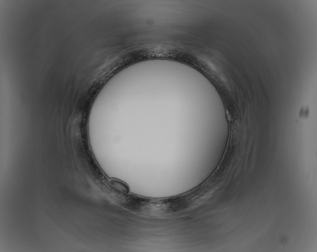 X0000090410217200708031050
