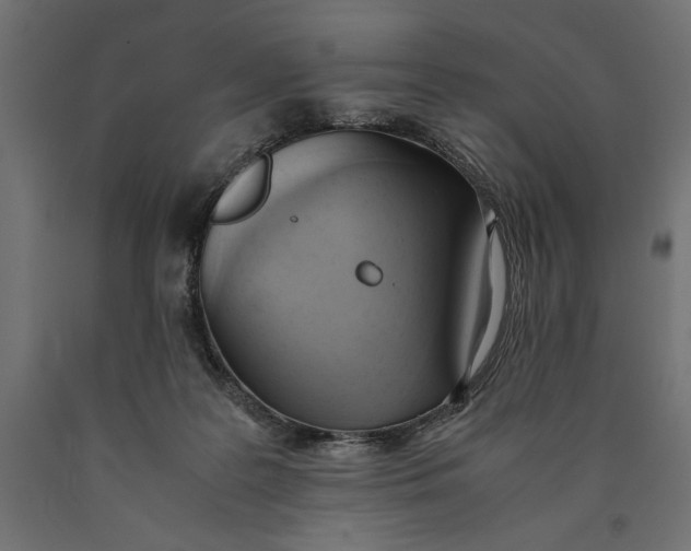 X0000090410219200708031050