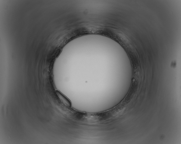 X0000090410221200708031050