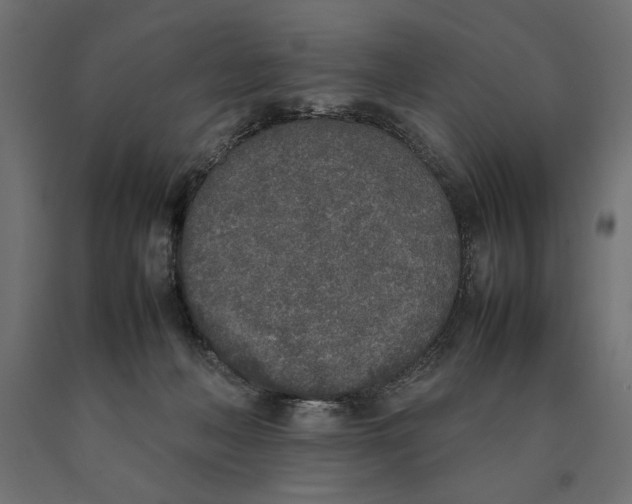 X0000090410222200708031050