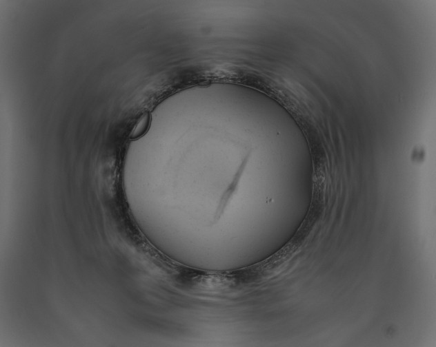 X0000090410223200708031050