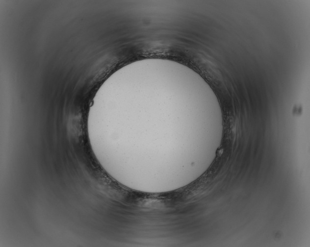 X0000090410224200708031050